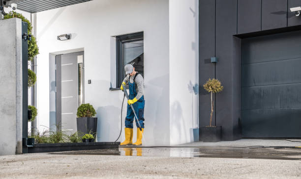 Best Driveway Pressure Washing  in Sun Village, CA